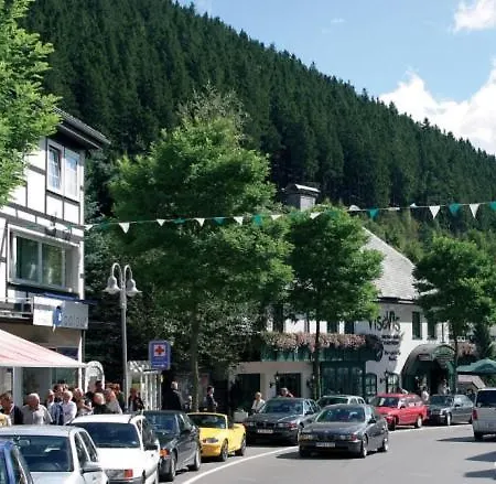 Gemuetlicher Ferienbungalow In Usseln Bei Willingen, Kostenloses Wlan *